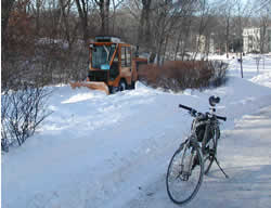 Olmsted Park Paths