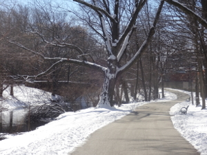 Muddy River and path